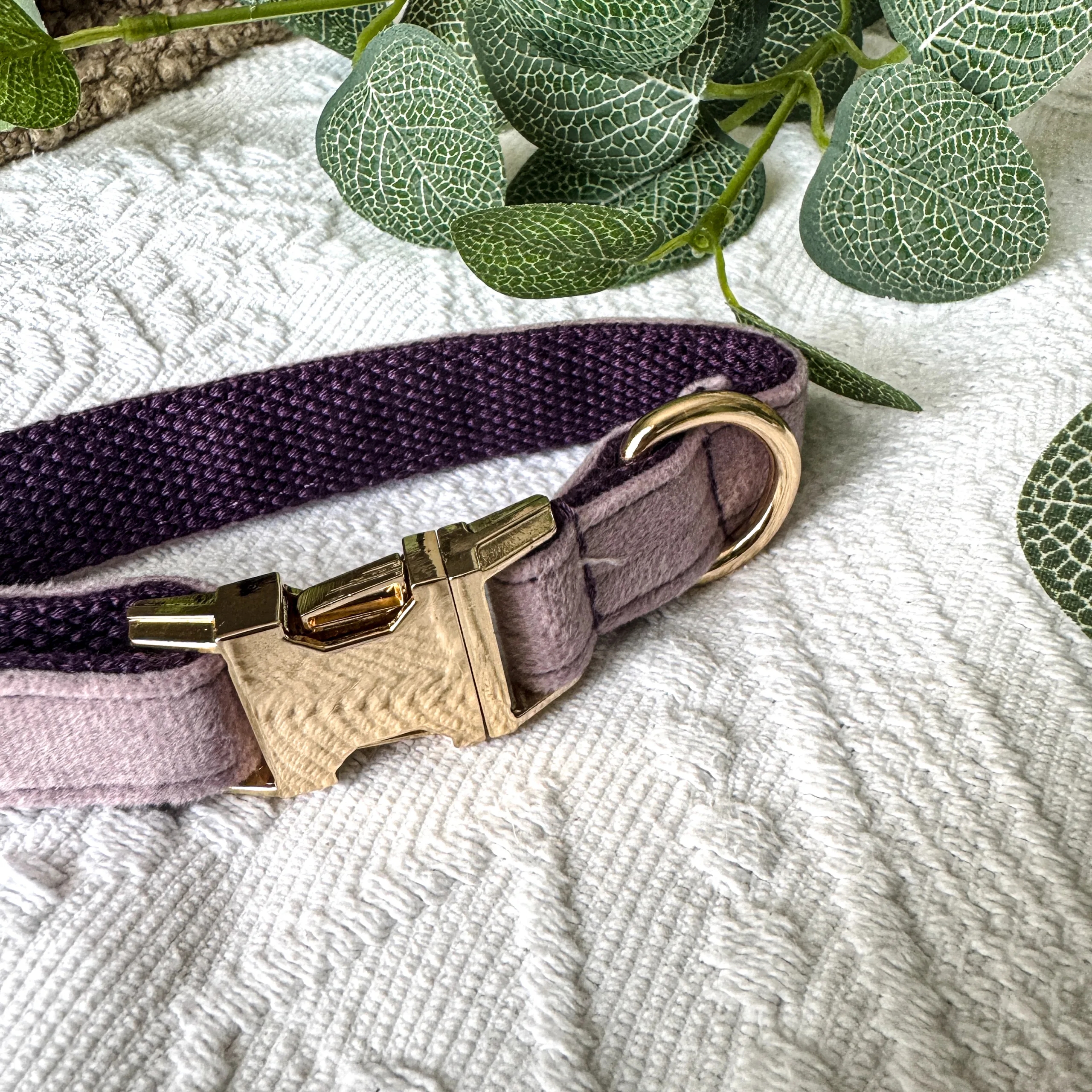 Pet Collars - Image 5