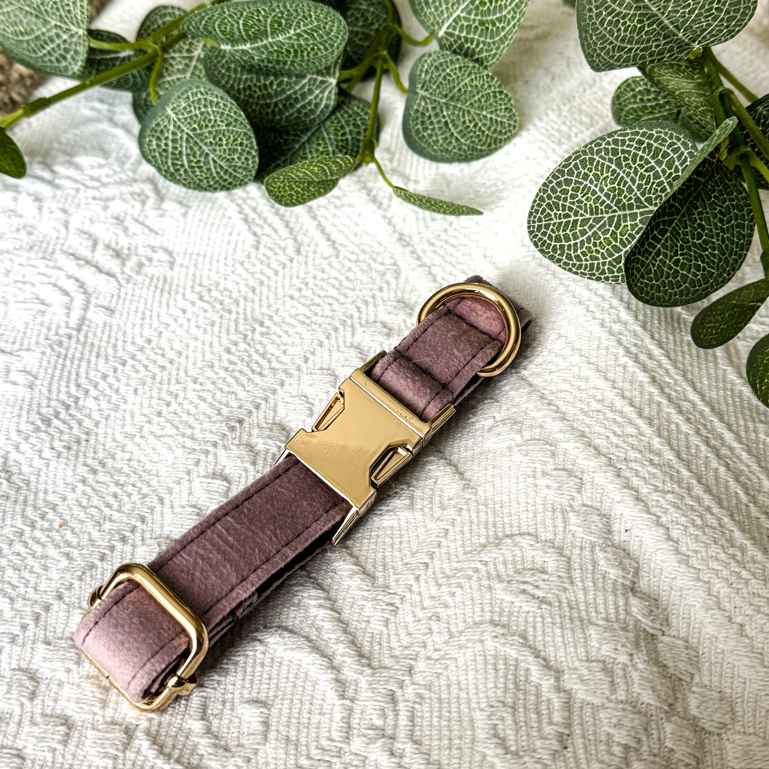 Pet Collars - Image 4