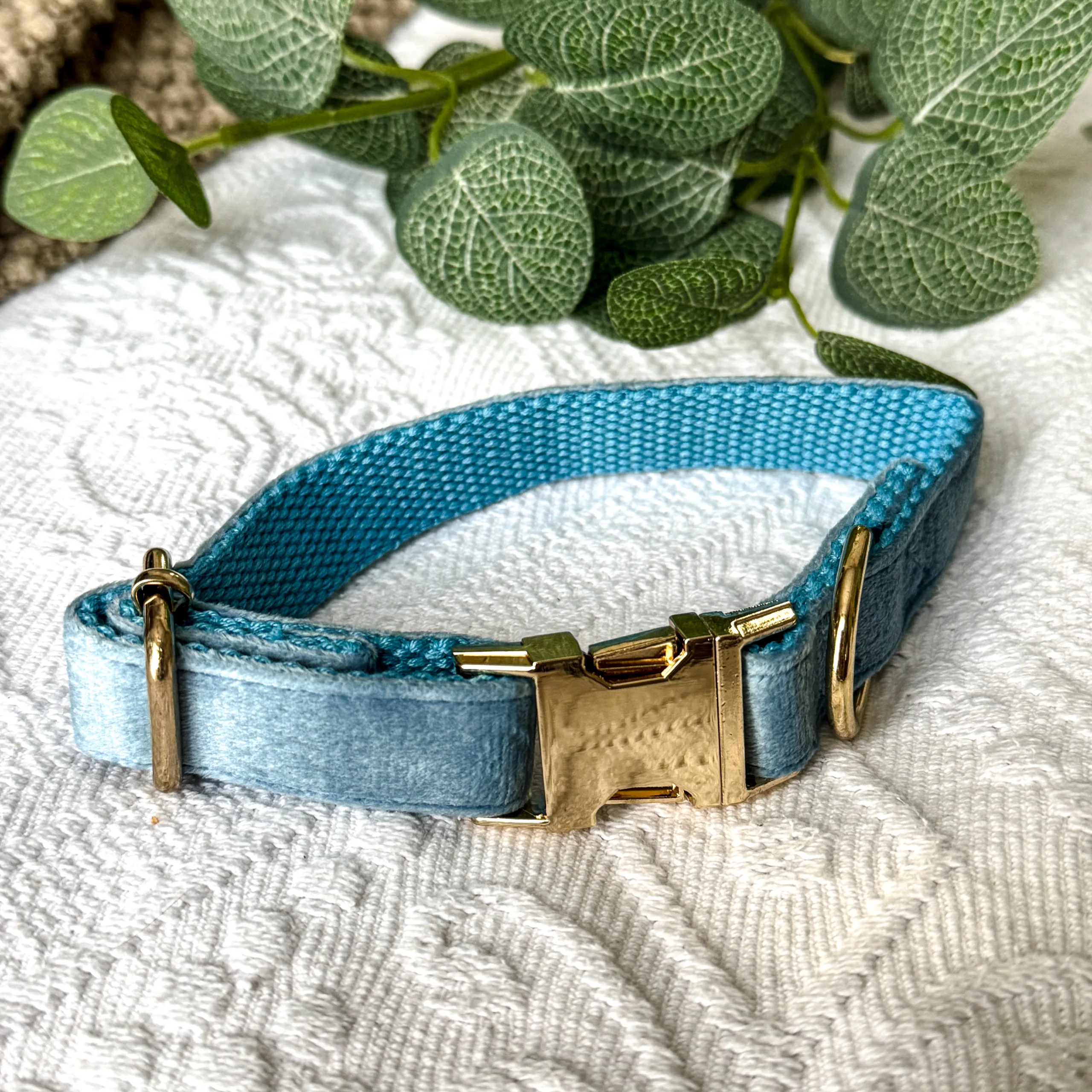 Pet Collars - Image 3