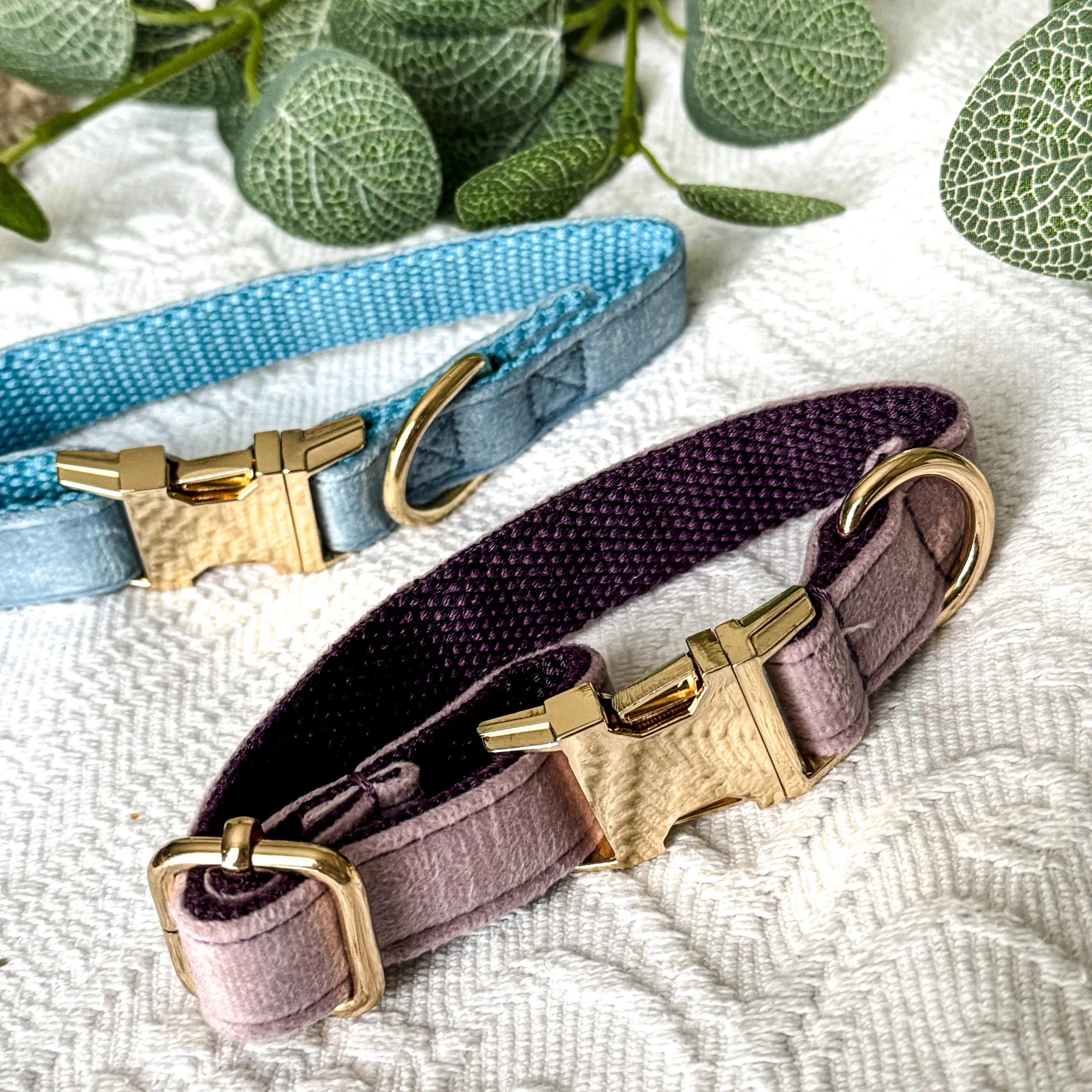 Pet Collars